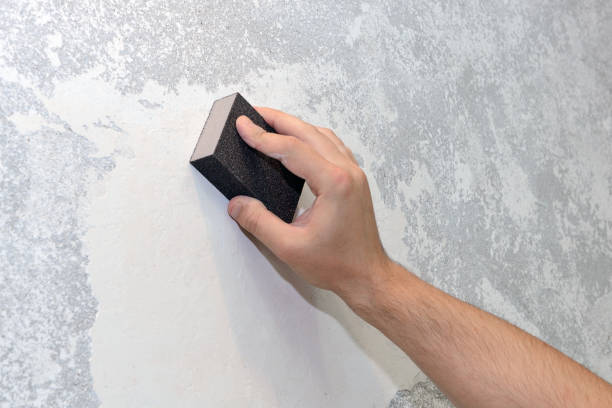 Best Forensic Mold Investigation  in Aledo, IL