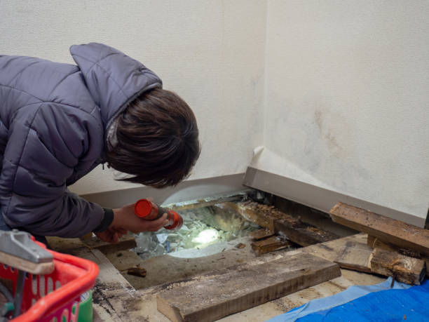 Best Airborne Mold Testing  in Aledo, IL