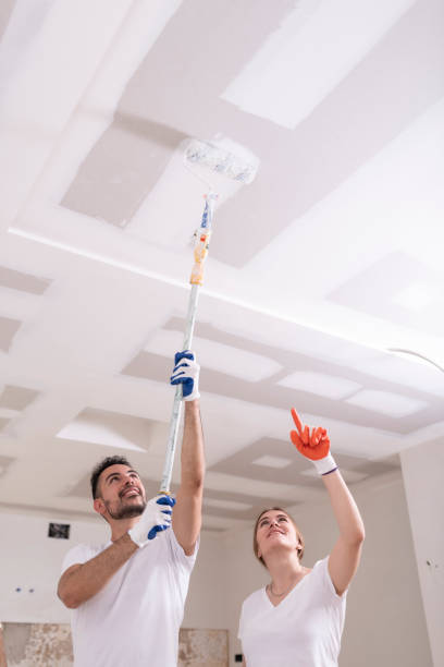 Best Environmental Consulting for Mold Prevention  in Aledo, IL