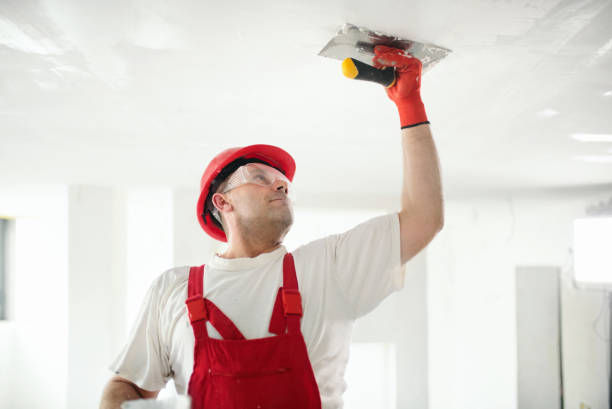 Best Mold Documentation for Insurance Claims  in Aledo, IL
