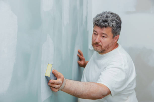 Best Water Damage & Mold Remediation  in Aledo, IL