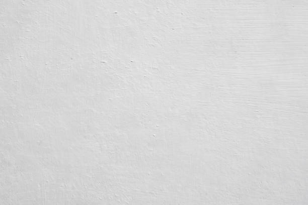 Professional Mold Removal in Aledo, IL