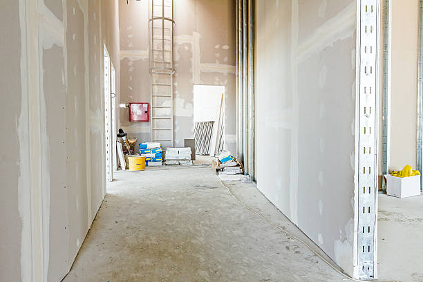 Best Emergency Mold Remediation  in Aledo, IL