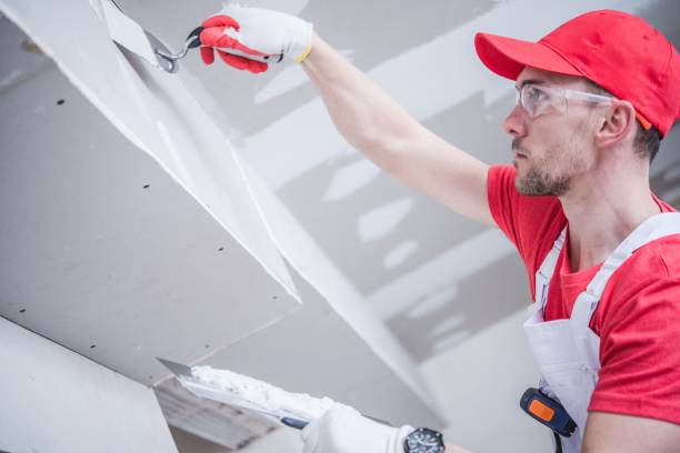 Best Mold Removal for HVAC Installations  in Aledo, IL